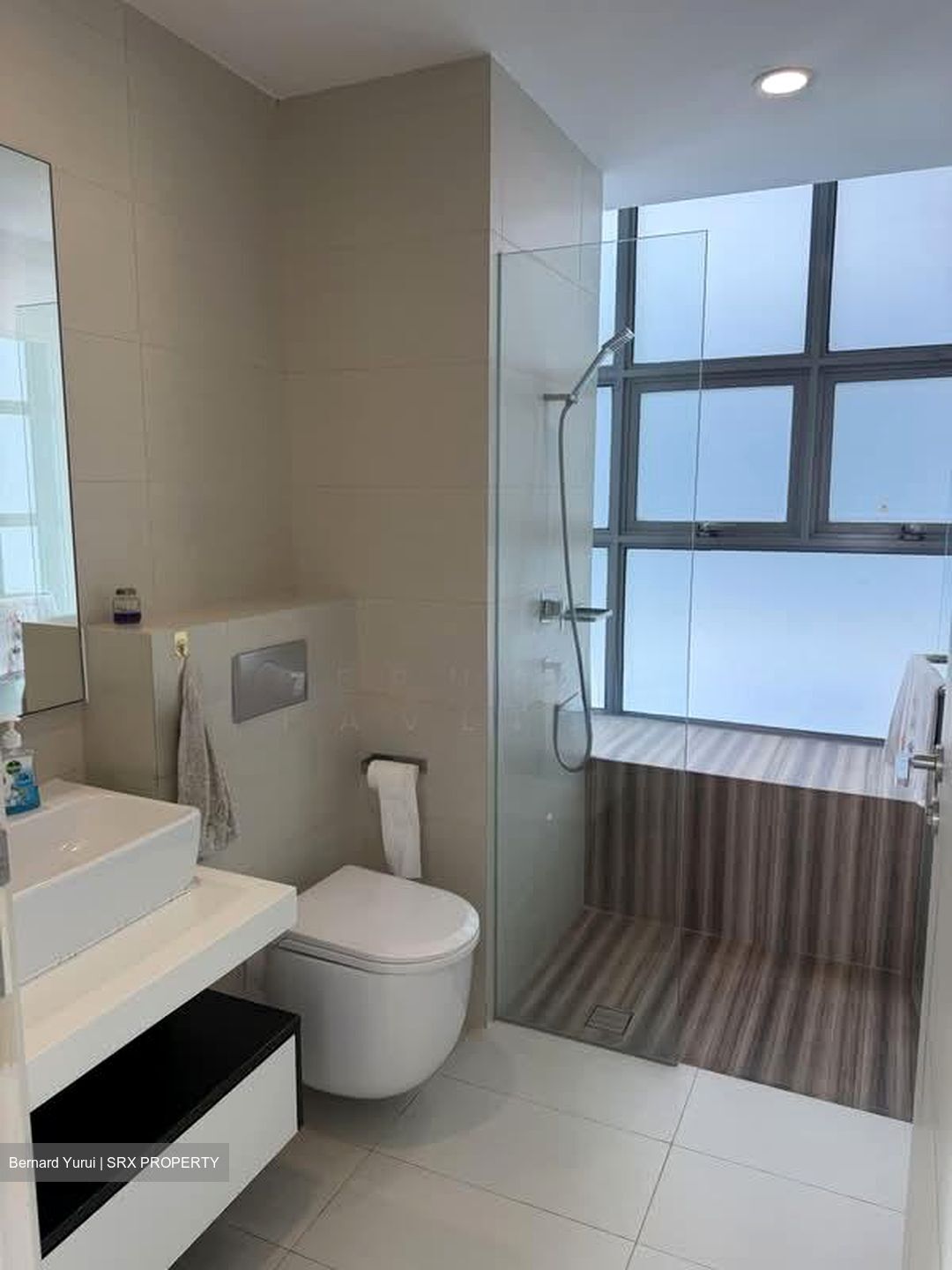 Lincoln Suites (D11), Condominium #574739661
